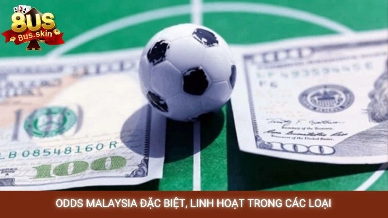 Odds trong bóng đá là gì? Cách đọc tỷ lệ odds chuẩn nhất 3 Odds Malaysia đặc biệt, linh hoạt trong các loại