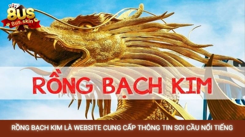 Rồng Bạch Kim - Soi cầu miễn phí, chính xác nhất hôm nay 2 Rồng Bạch Kim là website cung cấp thông tin soi cầu nổi tiếng
