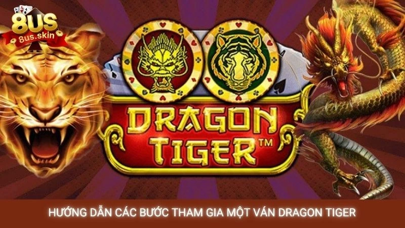 Rồng hổ 8US - Luật chơi và cách đặt cược dễ thắng nhất 4 Hướng dẫn các bước tham gia một ván Dragon Tiger